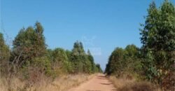 Fazenda à Venda 15.847 has Aptidão para Plantio de Eucalipto e Reflorestamento | Riacho dos Machados/ MG