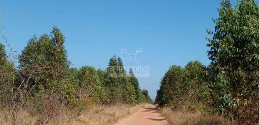 Fazenda à Venda 15.847 has Aptidão para Plantio de Eucalipto e Reflorestamento | Riacho dos Machados/ MG