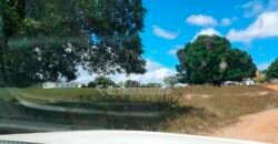 Fazenda à Venda 15.847 has Aptidão para Plantio de Eucalipto e Reflorestamento | Riacho dos Machados/ MG