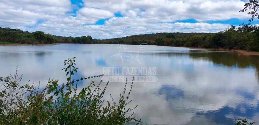 Fazenda à Venda 15.847 has Aptidão para Plantio de Eucalipto e Reflorestamento | Riacho dos Machados/ MG