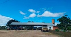 Fazenda à Venda 15.847 has Aptidão para Plantio de Eucalipto e Reflorestamento | Riacho dos Machados/ MG