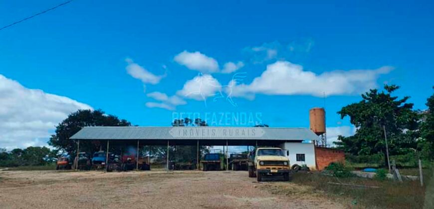 Fazenda à Venda 15.847 has Aptidão para Plantio de Eucalipto e Reflorestamento | Riacho dos Machados/ MG