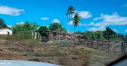 Fazenda à Venda 15.847 has Aptidão para Plantio de Eucalipto e Reflorestamento | Riacho dos Machados/ MG