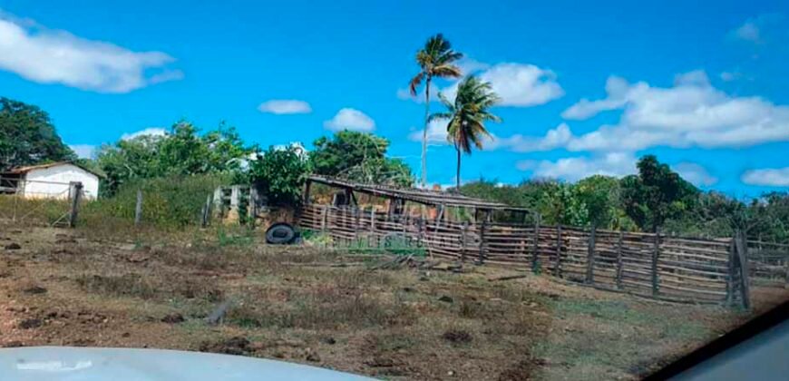 Fazenda à Venda 15.847 has Aptidão para Plantio de Eucalipto e Reflorestamento | Riacho dos Machados/ MG