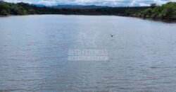 Fazenda à Venda 15.847 has Aptidão para Plantio de Eucalipto e Reflorestamento | Riacho dos Machados/ MG