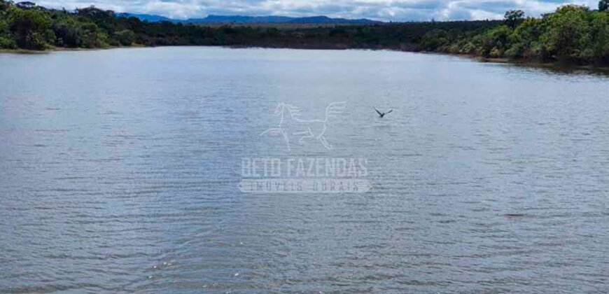 Fazenda à Venda 15.847 has Aptidão para Plantio de Eucalipto e Reflorestamento | Riacho dos Machados/ MG