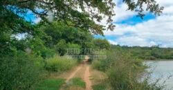 Fazenda à Venda 15.847 has Aptidão para Plantio de Eucalipto e Reflorestamento | Riacho dos Machados/ MG