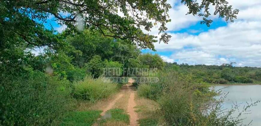Fazenda à Venda 15.847 has Aptidão para Plantio de Eucalipto e Reflorestamento | Riacho dos Machados/ MG