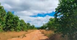 Fazenda à Venda 15.847 has Aptidão para Plantio de Eucalipto e Reflorestamento | Riacho dos Machados/ MG