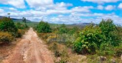 Fazenda à Venda 15.847 has Aptidão para Plantio de Eucalipto e Reflorestamento | Riacho dos Machados/ MG