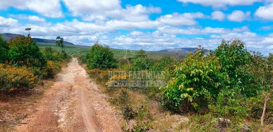 Fazenda à Venda 15.847 has Aptidão para Plantio de Eucalipto e Reflorestamento | Riacho dos Machados/ MG