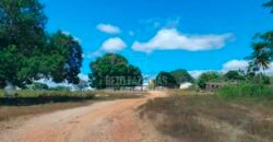 Fazenda à Venda 15.847 has Aptidão para Plantio de Eucalipto e Reflorestamento | Riacho dos Machados/ MG