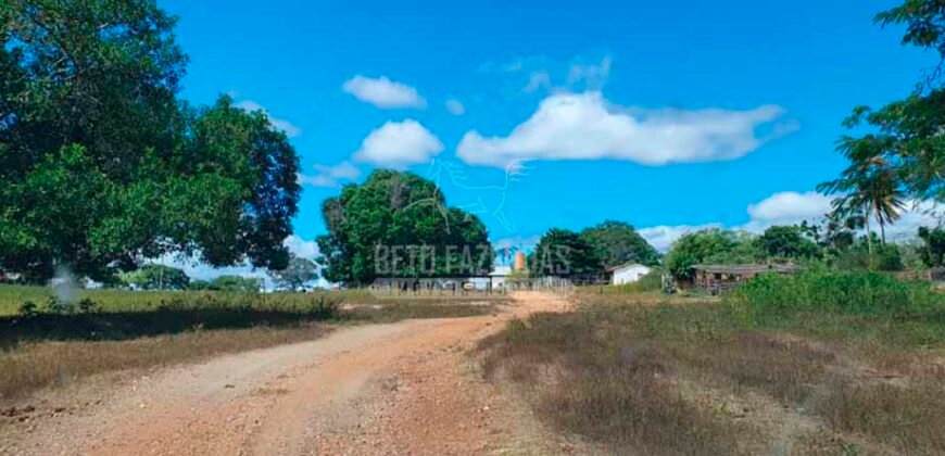 Fazenda à Venda 15.847 has Aptidão para Plantio de Eucalipto e Reflorestamento | Riacho dos Machados/ MG