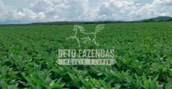 Fazenda à Venda 7.882 ha Alta Produtividade | Paranatinga/ MT