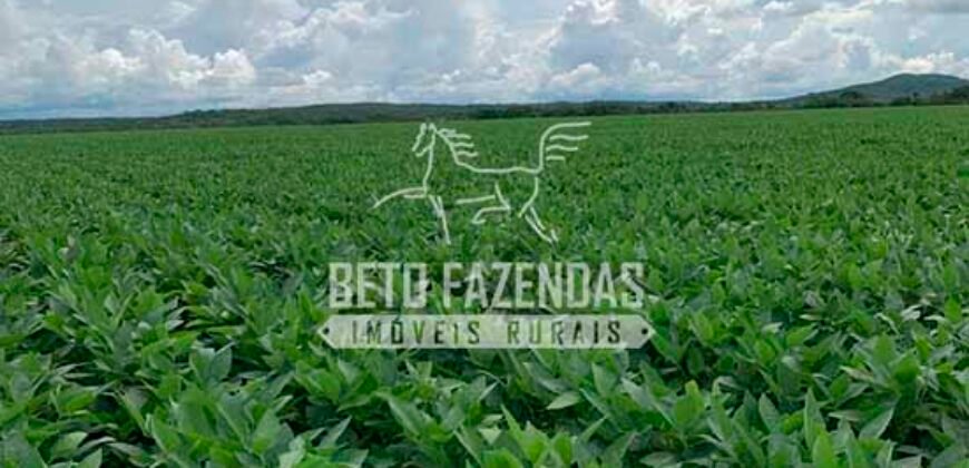 Fazenda à Venda 7.882 ha Alta Produtividade | Paranatinga/ MT
