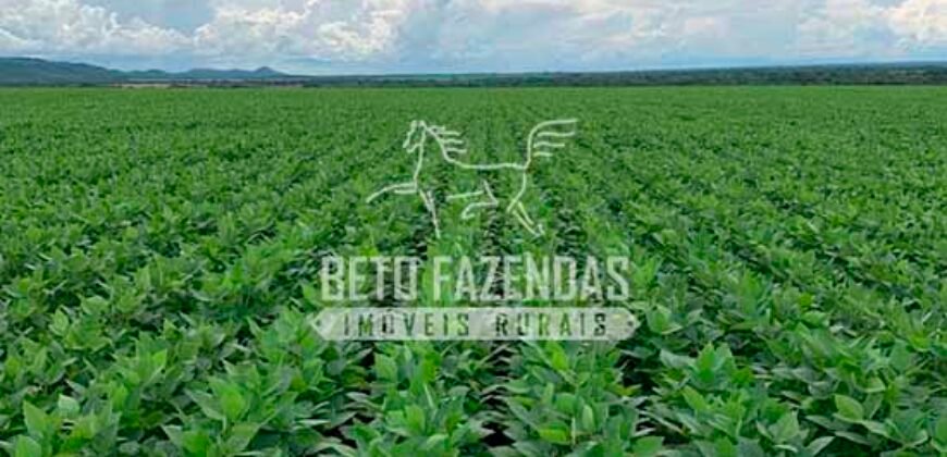 Fazenda à Venda 7.882 ha Alta Produtividade | Paranatinga/ MT