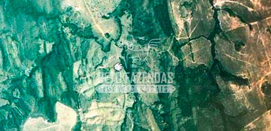 Fazenda à Venda 7.882 ha Alta Produtividade | Paranatinga/ MT