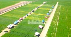 Fazenda à Venda 7.882 ha Alta Produtividade | Paranatinga/ MT