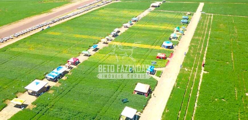 Fazenda à Venda 7.882 ha Alta Produtividade | Paranatinga/ MT