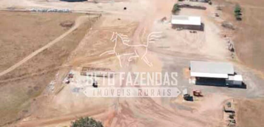 Fazenda à Venda 7.882 ha Alta Produtividade | Paranatinga/ MT