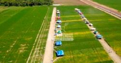 Fazenda à Venda 7.882 ha Alta Produtividade | Paranatinga/ MT