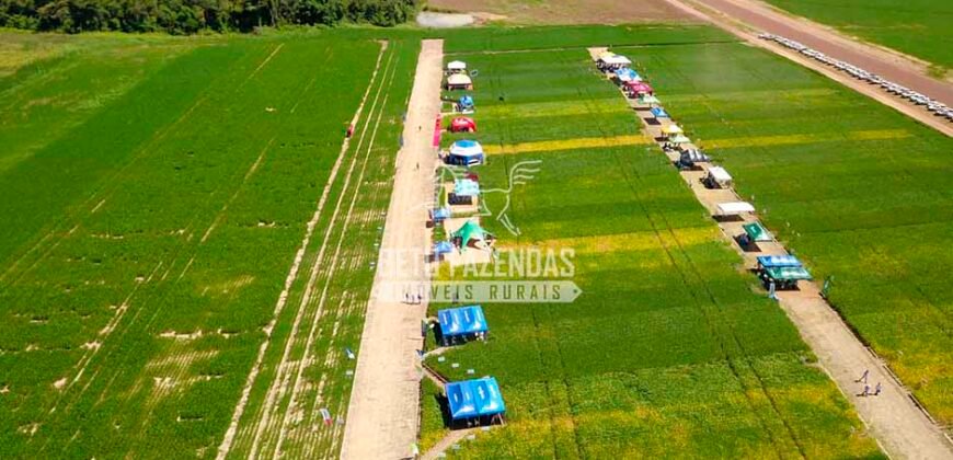 Fazenda à Venda 7.882 ha Alta Produtividade | Paranatinga/ MT