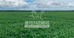 Fazenda à Venda 7.882 ha Alta Produtividade | Paranatinga/ MT