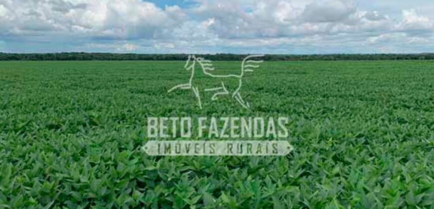 Fazenda à Venda 7.882 ha Alta Produtividade | Paranatinga/ MT