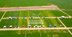 Fazenda à Venda 7.882 ha Alta Produtividade | Paranatinga/ MT