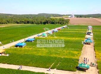 Fazenda à Venda 7.882 ha Alta Produtividade | Paranatinga/ MT Fazenda à Venda 7.882 ha Alta Produtividade | Paranatinga/ MT