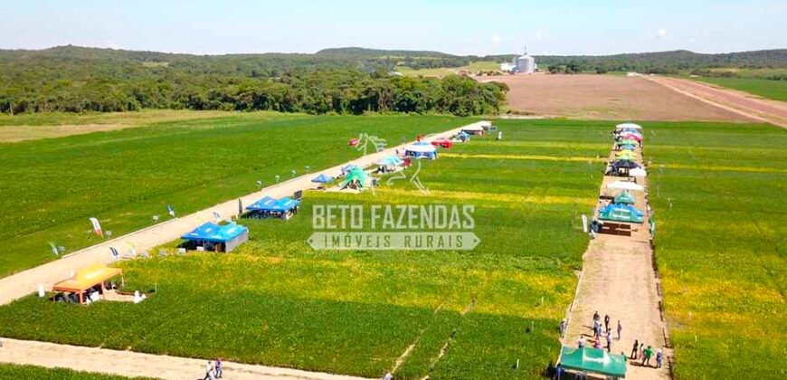Fazenda à Venda 7.882 ha Alta Produtividade | Paranatinga/ MT