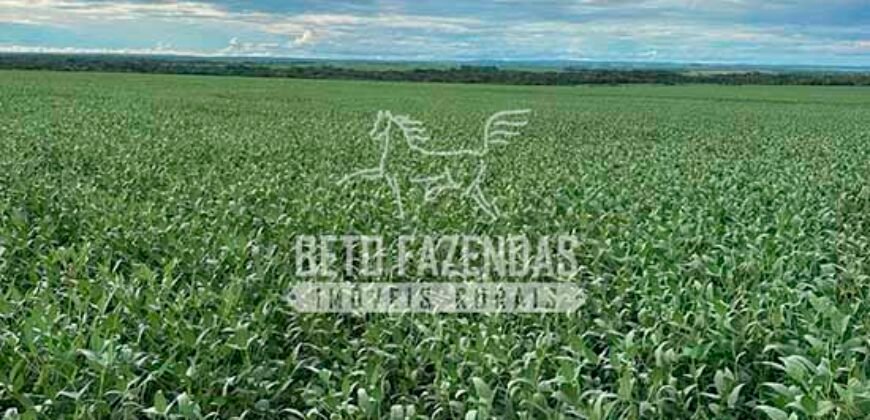 Fazenda à Venda 7.882 ha Alta Produtividade | Paranatinga/ MT