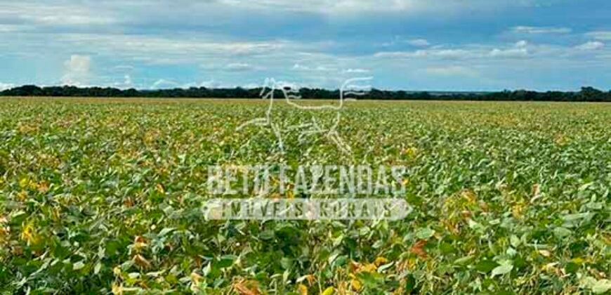 Fazenda à Venda 7.882 ha Alta Produtividade | Paranatinga/ MT