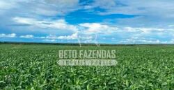 Fazenda à Venda 7.882 ha Alta Produtividade | Paranatinga/ MT