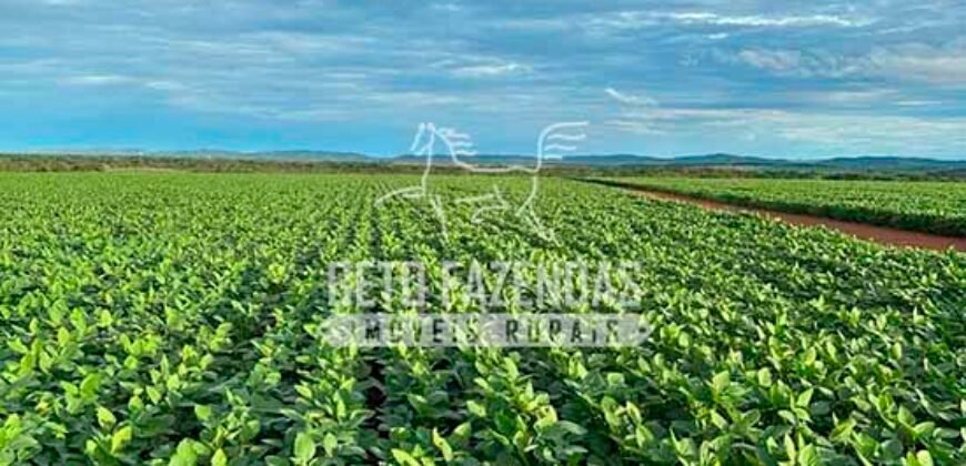 Fazenda à Venda 7.882 ha Alta Produtividade | Paranatinga/ MT