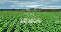 Fazenda à Venda 7.882 ha Alta Produtividade | Paranatinga/ MT