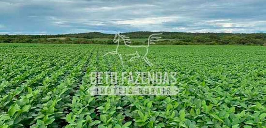 Fazenda à Venda 7.882 ha Alta Produtividade | Paranatinga/ MT