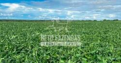 Fazenda à Venda 7.882 ha Alta Produtividade | Paranatinga/ MT