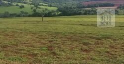 Fazenda à Venda 75 Alqueires Favorável p/ Lavoura Café Solo Fértil | Sacramento/ MG Fazenda à Venda 75 Alqueires Favorável p/ Lavoura Café Solo Fértil | Sacramento/ MG