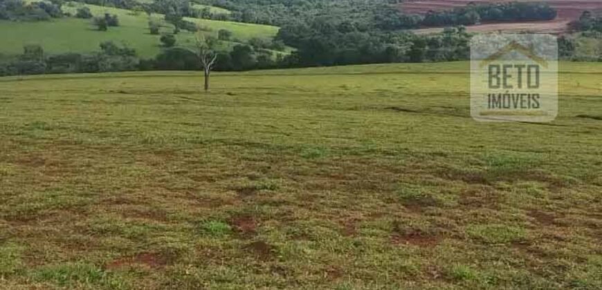 Fazenda à Venda 75 Alqueires Favorável p/ Lavoura Café Solo Fértil | Sacramento/ MG Fazenda à Venda 75 Alqueires Favorável p/ Lavoura Café Solo Fértil | Sacramento/ MG