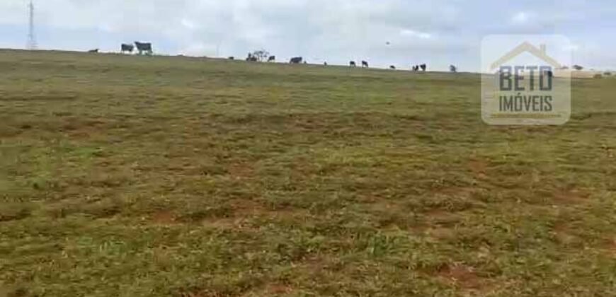 Fazenda à Venda 75 Alqueires Favorável p/ Lavoura Café Solo Fértil | Sacramento/ MG Fazenda à Venda 75 Alqueires Favorável p/ Lavoura Café Solo Fértil | Sacramento/ MG