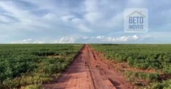 Ótima Fazenda 68 alqueires para Lavoura à Venda | Próximo a Uberlândia/ MG