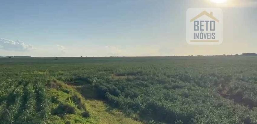 Ótima Fazenda 68 alqueires para Lavoura à Venda | Próximo a Uberlândia/ MG