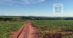 Ótima Fazenda 68 alqueires para Lavoura à Venda | Próximo a Uberlândia/ MG