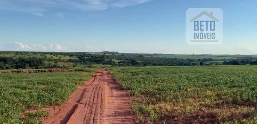 Ótima Fazenda 68 alqueires para Lavoura à Venda | Próximo a Uberlândia/ MG