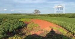 Ótima Fazenda 68 alqueires para Lavoura à Venda | Próximo a Uberlândia/ MG