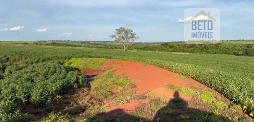 Ótima Fazenda 68 alqueires para Lavoura à Venda | Próximo a Uberlândia/ MG