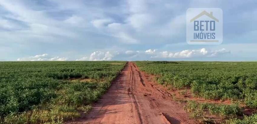Ótima Fazenda 68 alqueires para Lavoura à Venda | Próximo a Uberlândia/ MG