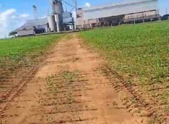 Venda de Fazenda 2.231 hectares de Soja Ótima Estrutura de Armazenamento | Primavera do Leste/ MT