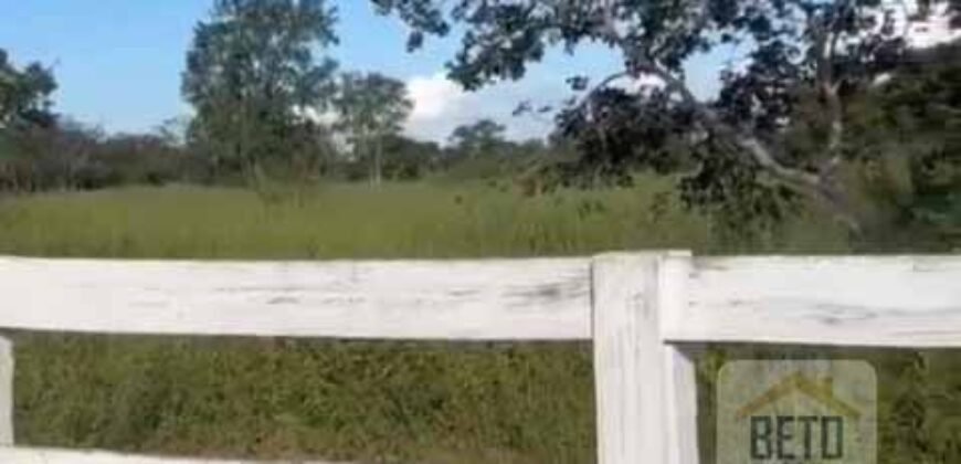 Excelente Fazenda à Venda 681 Alqueires Casa Sede e Pista de Pouso | Pintópolis/ MG Excelente Fazenda à Venda 681 Alqueires Casa Sede e Pista de Pouso | Pintópolis/ MG